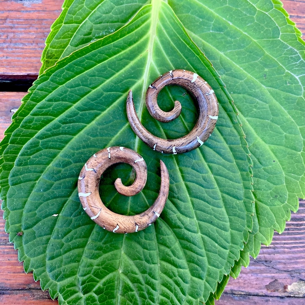 🌈 SPIRAL  HANDMADE GAUGE TAPERED HANGER ORGANIC WOOD EARRINGS